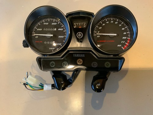 Brand new speedo - speedo, for